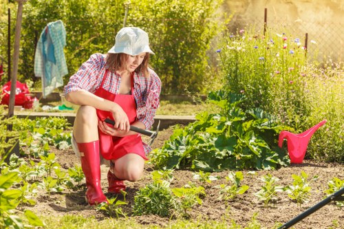 In a backyard garden, a woman wearing a sun hat, red waterproof apron, and matching red rain boots is kneeling on the soil, carefully tending to young vegetable plants in a well-maintained vegetable bed. The garden is bordered by a wooden fence and features a variety of healthy green foliage, with some plants supporting growth with small leaves and others with larger, broad leaves. In the background, there are flowering plants and bushes, along with a clothesline draped with colorful laundry, suggesting a casual outdoor space. A pink watering can is placed near the plant bed on the soil, and a garden hose lies on the ground nearby. The scene is illuminated with natural sunlight, indicating a bright day that benefits outdoor gardening work, emphasizing a neat, productive garden layout that reflects professional gardening and lawn care services available in Hainault, suitable for maintaining outdoor spaces in the local area.