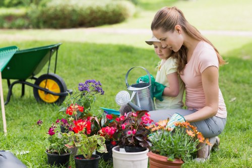 Image showing screen reader and keyboard navigation icons with a lawn mower