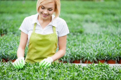 Variety of plants suitable for Hainault gardens