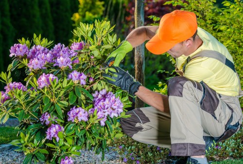 Professional lawn mowing service in Hainault