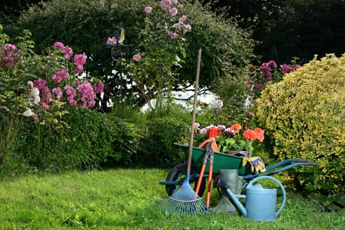 Beautifully mowed garden in Hainault