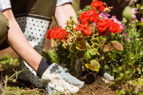 Expert lawn care by Hainault professionals